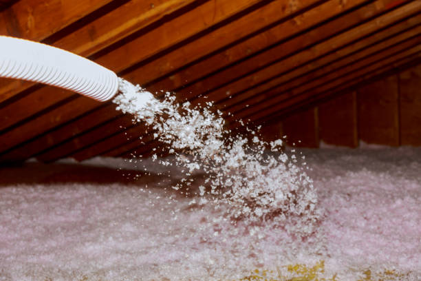 Best Insulation Maintenance and Repair in Glenwood, MN