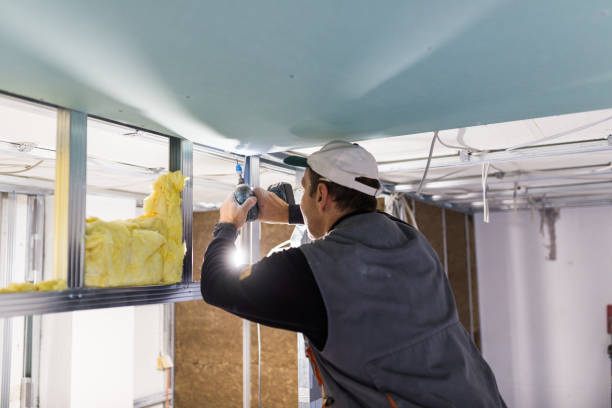 Best Residential Insulation in Glenwood, MN