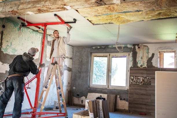 Best Insulation Materials and Products in Glenwood, MN