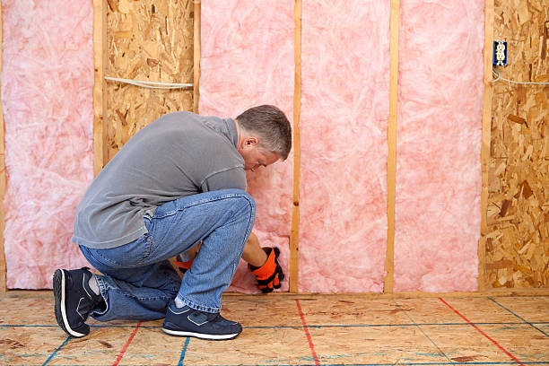 Best Commercial Insulation in Glenwood, MN