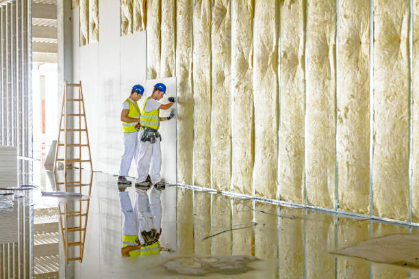 Best Types of Insulation in Glenwood, MN